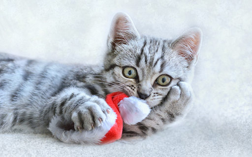 Mischievous cat  from Chrome web store to be run with OffiDocs Chromium online