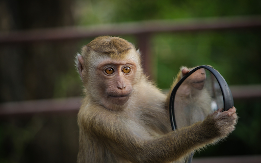 Mischievous monkey  from Chrome web store to be run with OffiDocs Chromium online