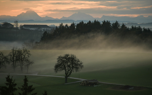 Mist covers green fields  from Chrome web store to be run with OffiDocs Chromium online