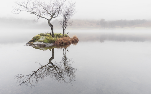 Misty Lake Reflection  from Chrome web store to be run with OffiDocs Chromium online