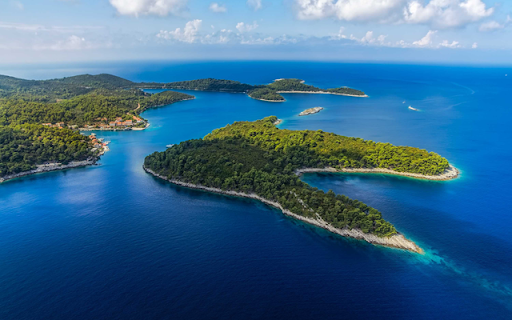 Mljet  from Chrome web store to be run with OffiDocs Chromium online