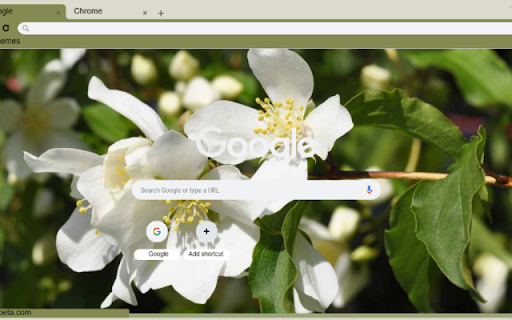 Mock Orange  from Chrome web store to be run with OffiDocs Chromium online
