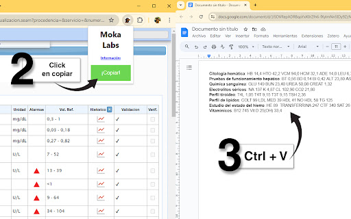 Moka Labs  from Chrome web store to be run with OffiDocs Chromium online