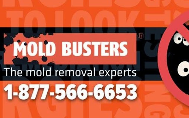 Mold Busters  from Chrome web store to be run with OffiDocs Chromium online