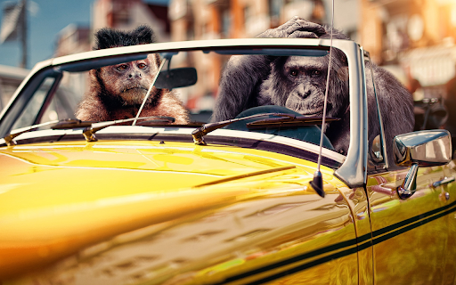 Monkey ride  from Chrome web store to be run with OffiDocs Chromium online