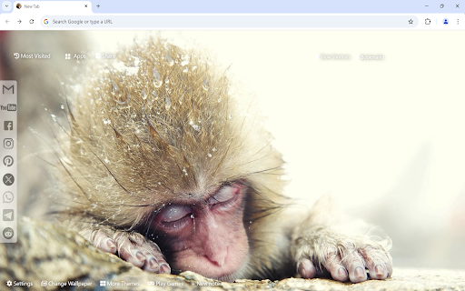 Monkey Wallpaper  from Chrome web store to be run with OffiDocs Chromium online