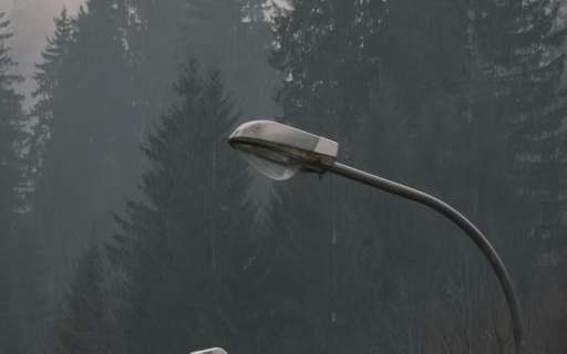 Moody Forest Scene with Silhouetted Streetlights  from Chrome web store to be run with OffiDocs Chromium online