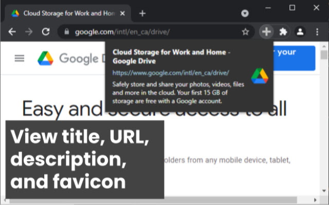 More Tab Info  from Chrome web store to be run with OffiDocs Chromium online