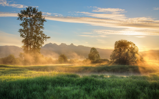 Morning meadow  from Chrome web store to be run with OffiDocs Chromium online