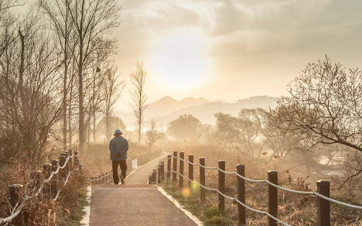 Morning Walk Through the Mist  from Chrome web store to be run with OffiDocs Chromium online