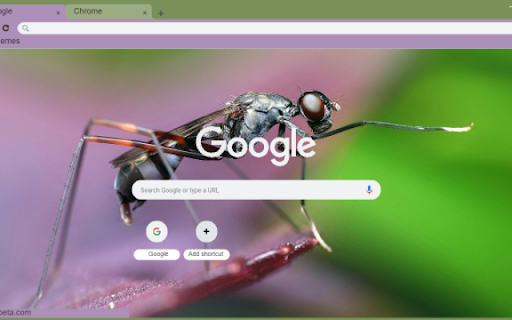 Mosquito  from Chrome web store to be run with OffiDocs Chromium online