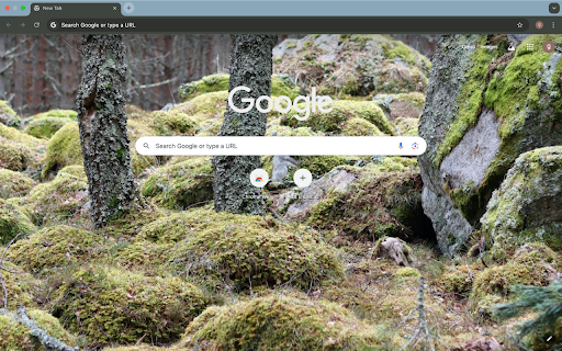 moss stone  from Chrome web store to be run with OffiDocs Chromium online