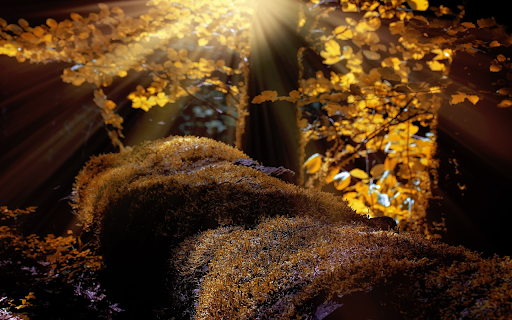 Moss under the leaves  from Chrome web store to be run with OffiDocs Chromium online