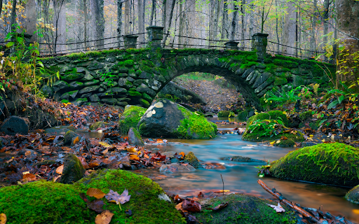 Mossy bridge  from Chrome web store to be run with OffiDocs Chromium online