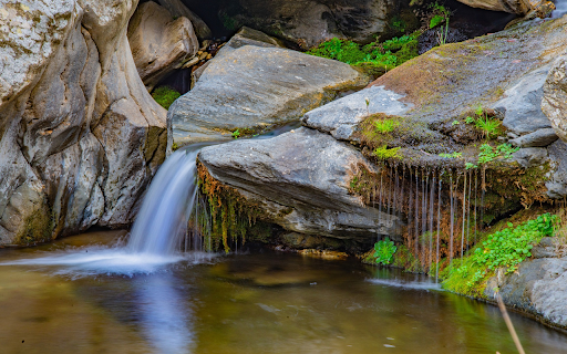 Mossy rock and waterfall  from Chrome web store to be run with OffiDocs Chromium online