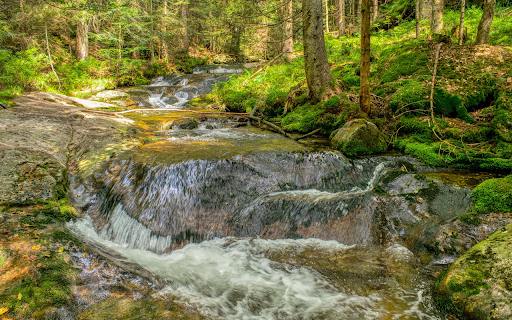 Mossy rock spring  from Chrome web store to be run with OffiDocs Chromium online