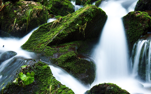 Mossy rocky mountains  from Chrome web store to be run with OffiDocs Chromium online