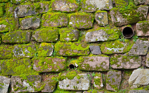 Mossy stone wall  from Chrome web store to be run with OffiDocs Chromium online