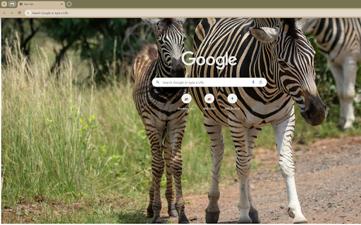 mother zebra and her foal grazing on the savannah  from Chrome web store to be run with OffiDocs Chromium online