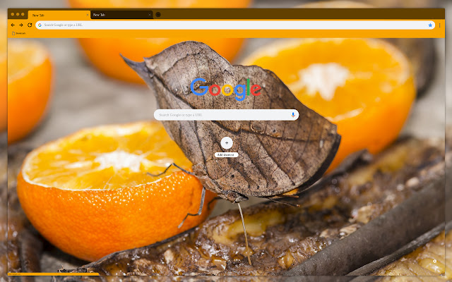 Moth on orange  from Chrome web store to be run with OffiDocs Chromium online
