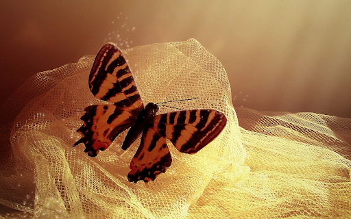 Moth Thien  from Chrome web store to be run with OffiDocs Chromium online