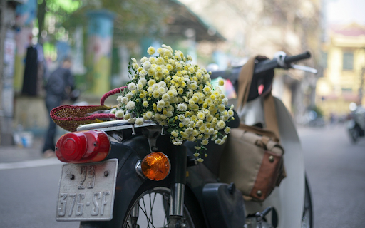 motorbike carrying flowers  from Chrome web store to be run with OffiDocs Chromium online