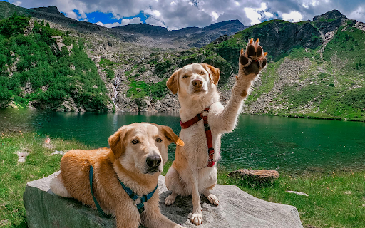 Mountain Adventure Pals  from Chrome web store to be run with OffiDocs Chromium online