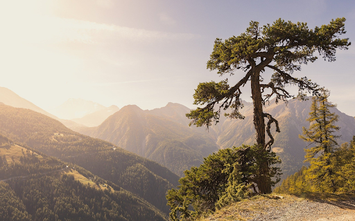Mountain peek  from Chrome web store to be run with OffiDocs Chromium online
