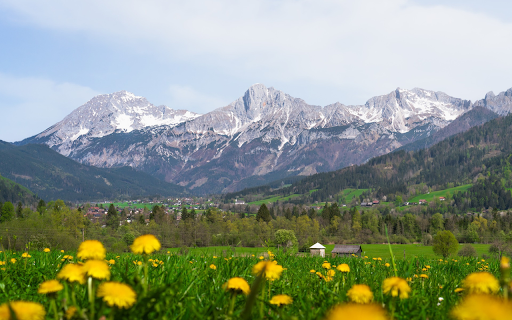 Mountains and Flowers  from Chrome web store to be run with OffiDocs Chromium online