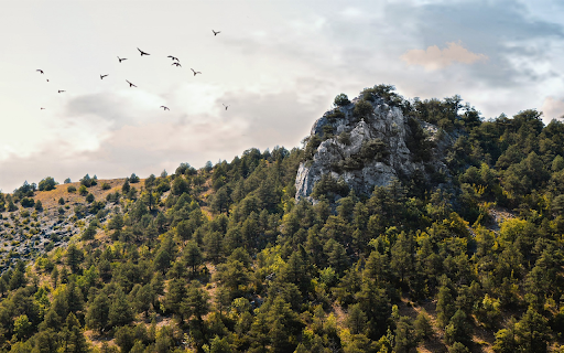 Mountains and hills and birds on the wing  from Chrome web store to be run with OffiDocs Chromium online