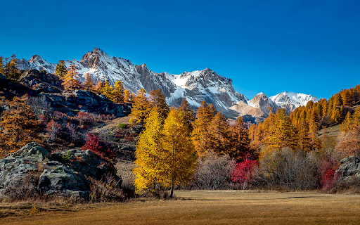 Mountains Covered in Snow and Autumn Trees  from Chrome web store to be run with OffiDocs Chromium online