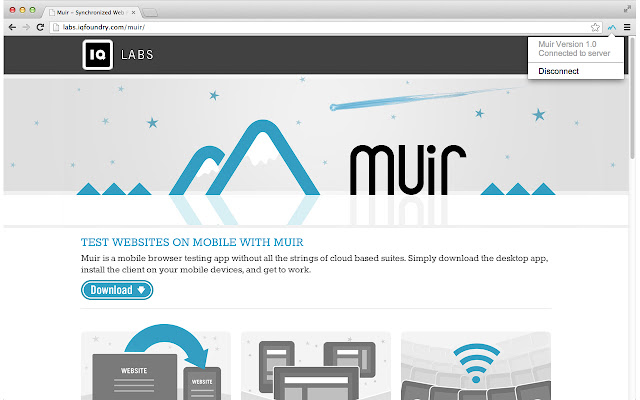 Muir  from Chrome web store to be run with OffiDocs Chromium online
