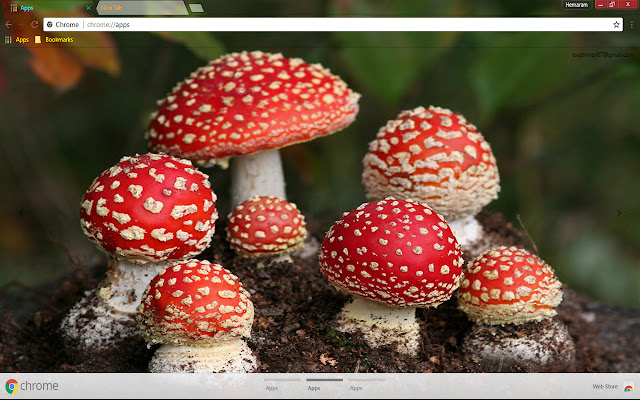 Mushroom  from Chrome web store to be run with OffiDocs Chromium online