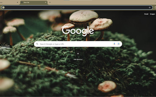 Mushrooms Among the Moss  from Chrome web store to be run with OffiDocs Chromium online