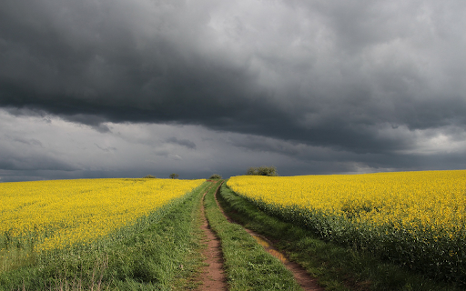 Mustard flower road  from Chrome web store to be run with OffiDocs Chromium online