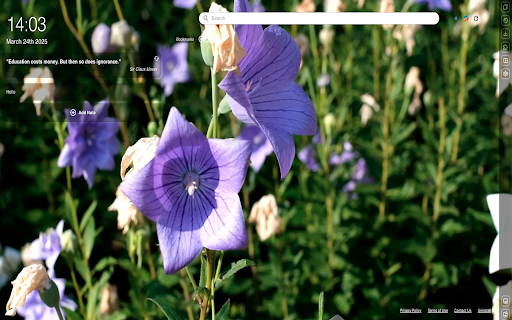 My Day Planner  from Chrome web store to be run with OffiDocs Chromium online