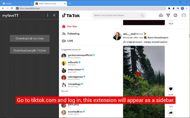 myfaveTT download all your tiktok Likes  from Chrome web store to be run with OffiDocs Chromium online