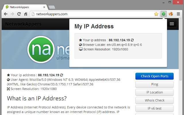 My IP Plus  from Chrome web store to be run with OffiDocs Chromium online