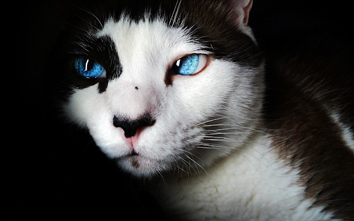 Mysterious eyes  from Chrome web store to be run with OffiDocs Chromium online