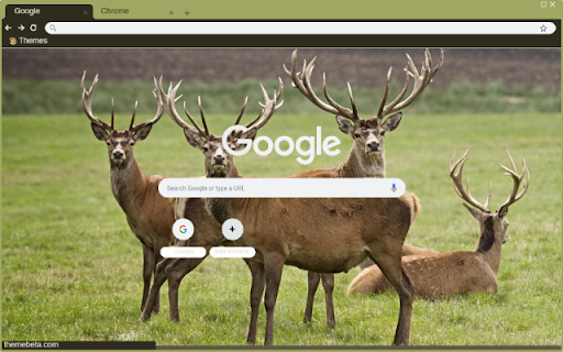 Nai chau Au  from Chrome web store to be run with OffiDocs Chromium online