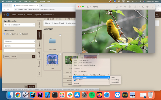 NAPC EZXtend  from Chrome web store to be run with OffiDocs Chromium online
