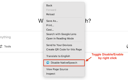 Native Speech: Pronunciation, Translation  Text to Speech  from Chrome web store to be run with OffiDocs Chromium online