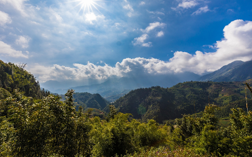 Natural forest  from Chrome web store to be run with OffiDocs Chromium online
