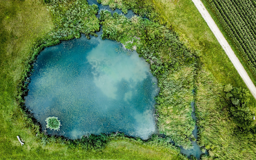 Natural green lake  from Chrome web store to be run with OffiDocs Chromium online