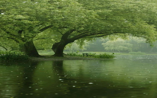 Natural lake surface wallpaper  from Chrome web store to be run with OffiDocs Chromium online