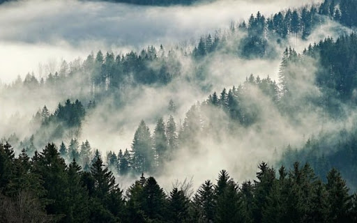 NATURE LANDSCAPETHEME  from Chrome web store to be run with OffiDocs Chromium online