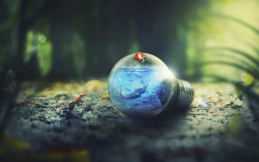 Nature Outdoors  from Chrome web store to be run with OffiDocs Chromium online