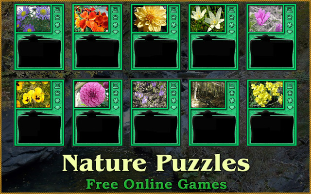 Nature Puzzles  from Chrome web store to be run with OffiDocs Chromium online