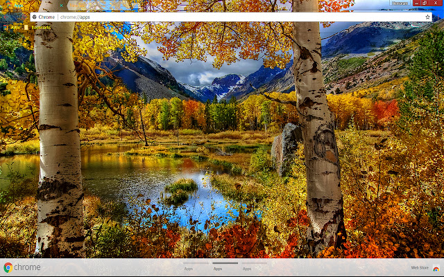 NatureReflection  from Chrome web store to be run with OffiDocs Chromium online
