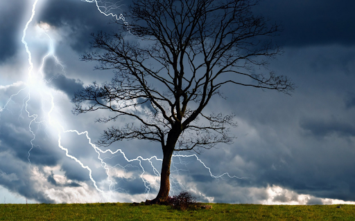 Natures Fury  from Chrome web store to be run with OffiDocs Chromium online